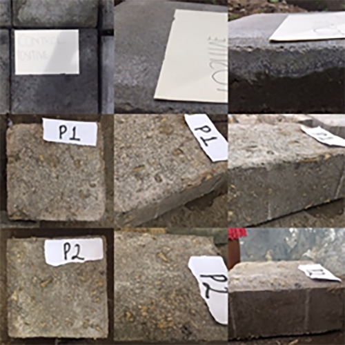 Paving Biocomposites From Combination of Pineapple Leaf (Ananas comosus) and Egg Shell Biosemen